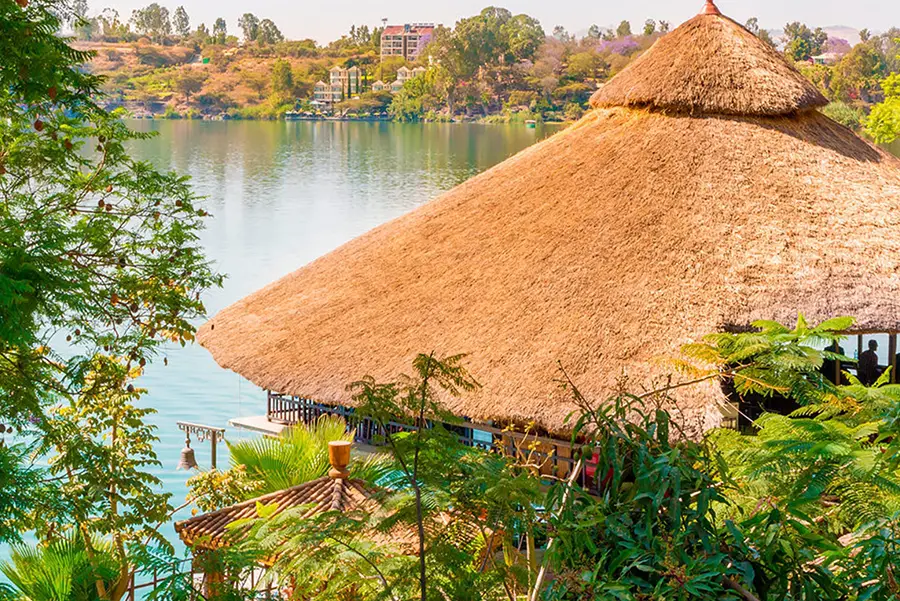 BAMBU YAPI